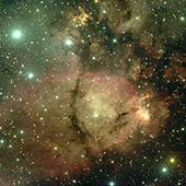 Fish Head Nebula